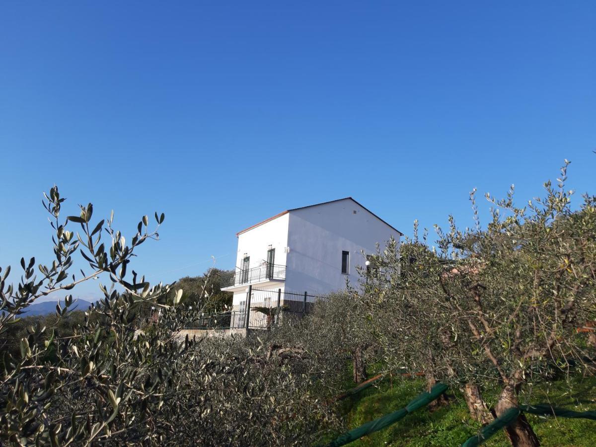 라바냐 Sarina House Ocean View 빌라 외부 사진